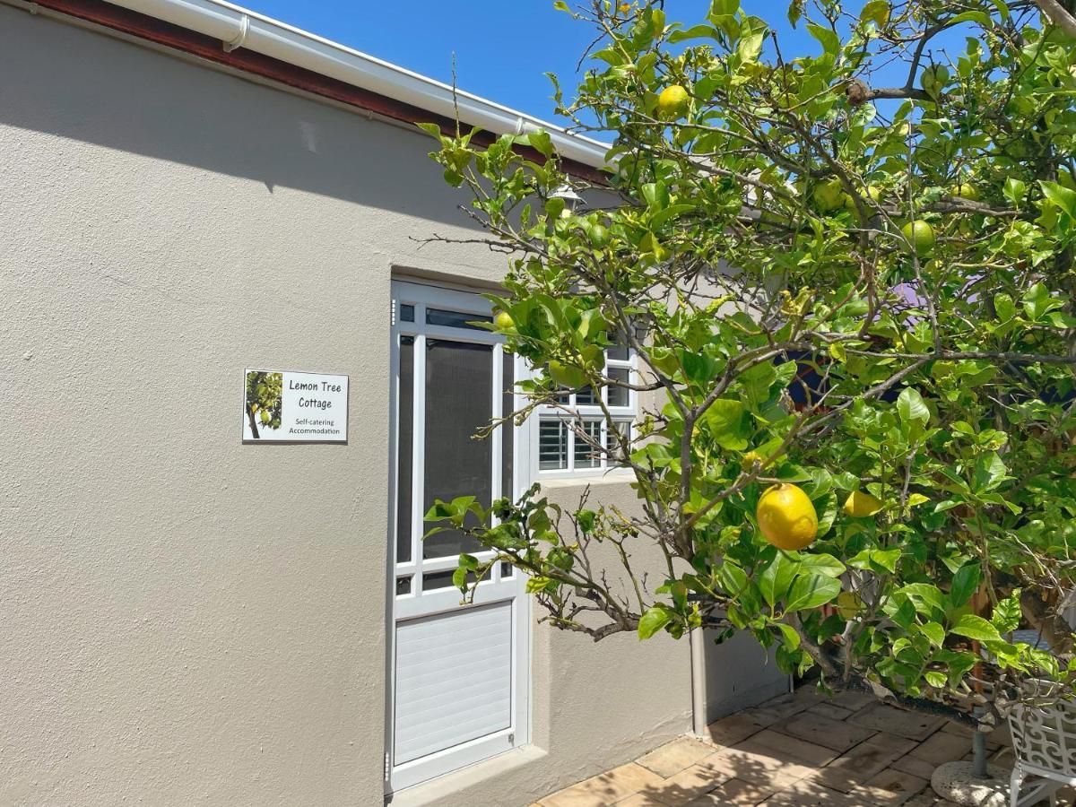 Lemon Tree Cottage Edgemead Exterior photo